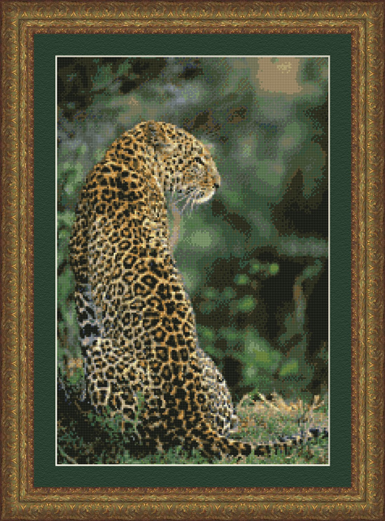 9886 Leopard in Waiting - Click Image to Close
