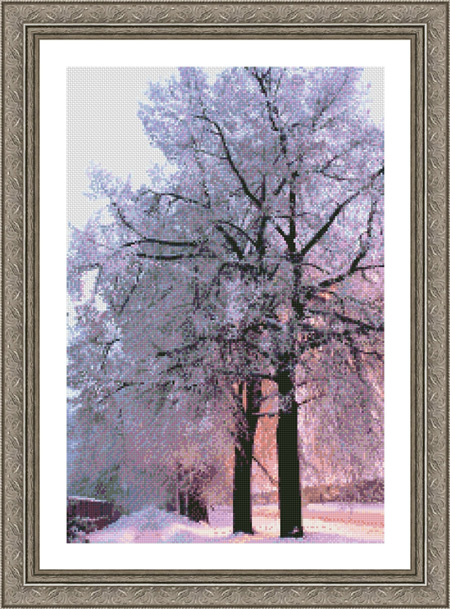 9893 Winter Wonderland - Click Image to Close