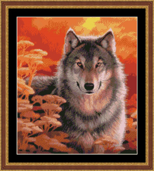 9942 Gaze- Grey Wolf at Sunset - Click Image to Close