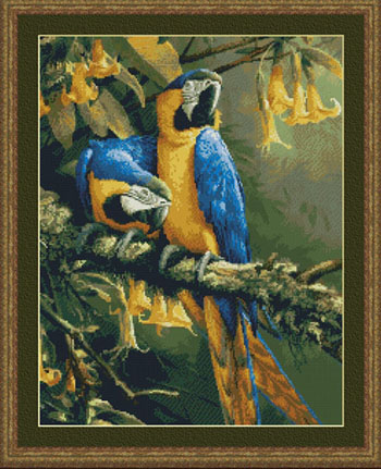 9944 Blue Gold Macaws - Click Image to Close