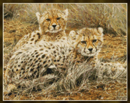 9962 Little Princesses - Baby Cheetahs - Click Image to Close