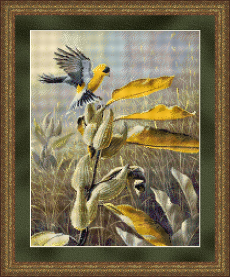 9966 Meadow Gold - Goldfinch - Click Image to Close