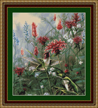 9984 Monardia- Hummingbirds - Click Image to Close