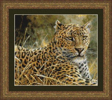 9985 Leopard - Click Image to Close