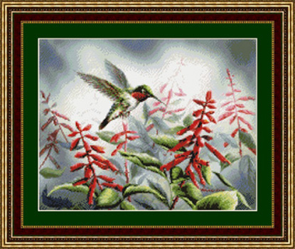 9994 Hummingbird I - Click Image to Close