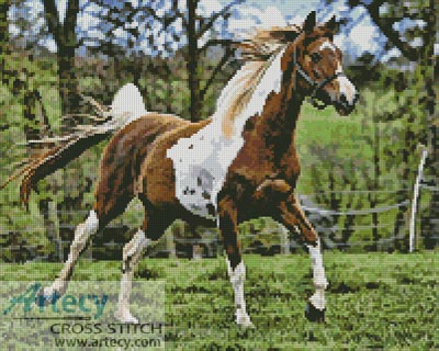 2056 Arabian Horse - Cross Stitch KIT $15 - Click Image to Close