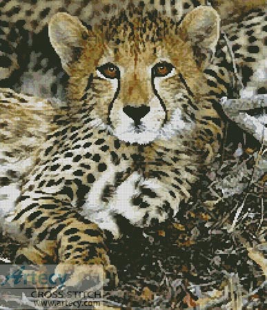 Baby Cheetah - Cross Stitch Chart - Click Image to Close