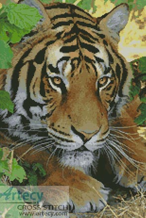 Bengal Tiger 3 - Cross Stitch Chart - Click Image to Close