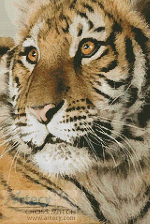Bengal Tiger Cub - Cross Stitch Chart - Click Image to Close