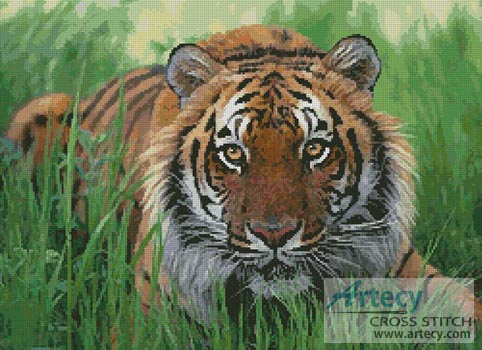 Bengal Tiger in Grass - Cross Stitch Chart - Click Image to Close