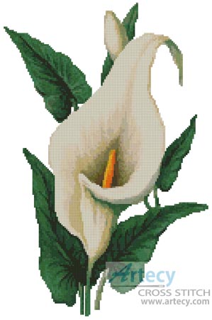 Calla Lily - Cross Stitch Chart - Click Image to Close
