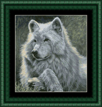 GAW-001 Spring Break - Grey Wolf - Click Image to Close