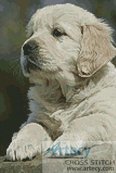 Golden Retriever Puppy - Cross Stitch Chart - Click Image to Close