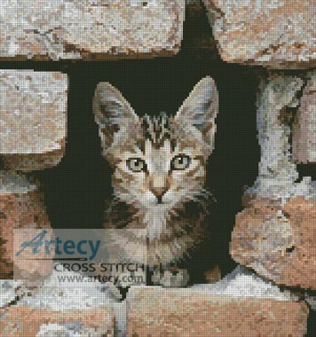 2034 Kitten in Wall - Cross Stitch Chart - Click Image to Close