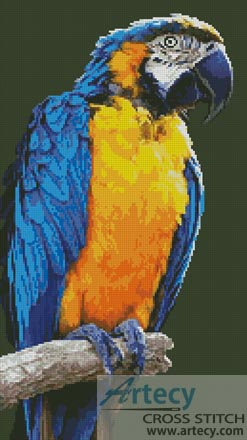 Macaw - Cross Stitch Chart - Click Image to Close