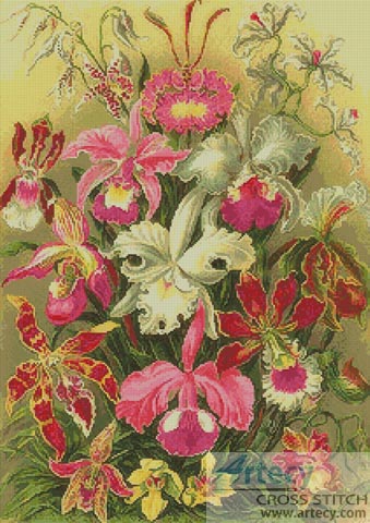 Orchids - Cross Stitch Chart - Click Image to Close
