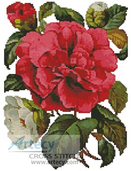 Pink Camellia - Cross Stitch Chart - Click Image to Close