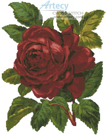 Red Rose - Cross Stitch Chart - Click Image to Close