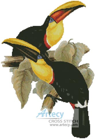 Toucans - Cross Stitch Chart - Click Image to Close
