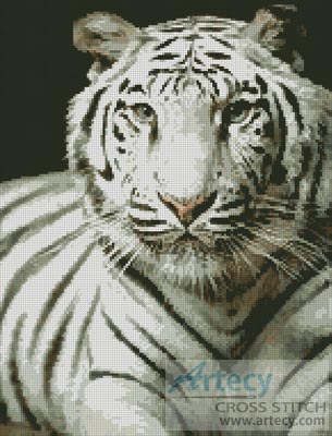 White Tiger - Cross Stitch Chart - Click Image to Close