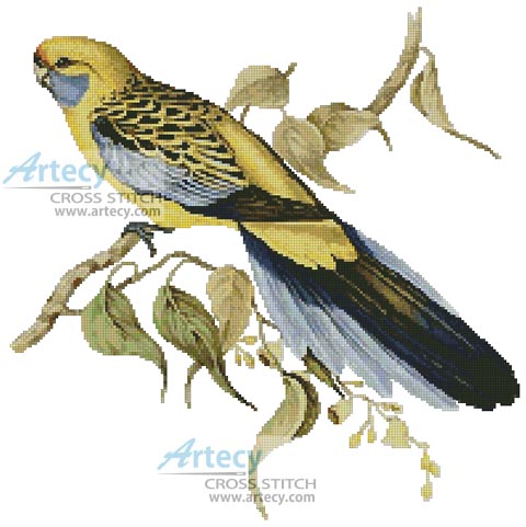 Yellow Rumped Parakeet - Cross Stitch Chart - Click Image to Close