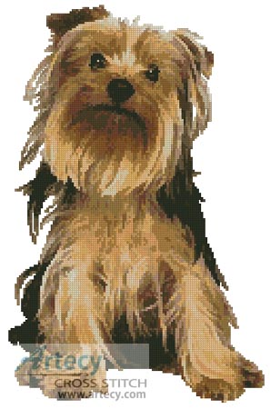 Yorkshire Terrier - Cross Stitch Chart - Click Image to Close