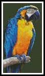 Macaw - Cross Stitch Chart