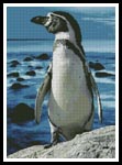 Penguin Photo - Cross Stitch Chart
