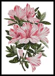 Pink Azaleas - Cross Stitch Chart