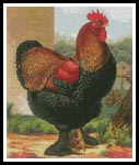 Rooster 2 - Cross Stitch Chart