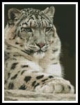 Snow Leopard 2 - Cross Stitch Chart