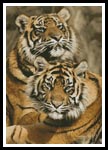 Sumatran Tigers - Cross Stitch Chart
