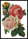 Victorian Roses - Cross Stitch Chart