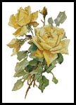 Victorian Yellow Roses - Cross Stitch Chart