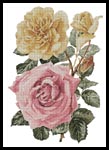 Yellow and Pink Roses - Cross Stitch Chart