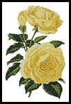 Yellow Roses - Cross Stitch Chart
